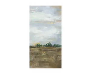 47X24 FORMATIVE LANDSCAPES II