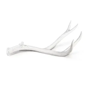 ANTLER OBJET LARGE-WHITE