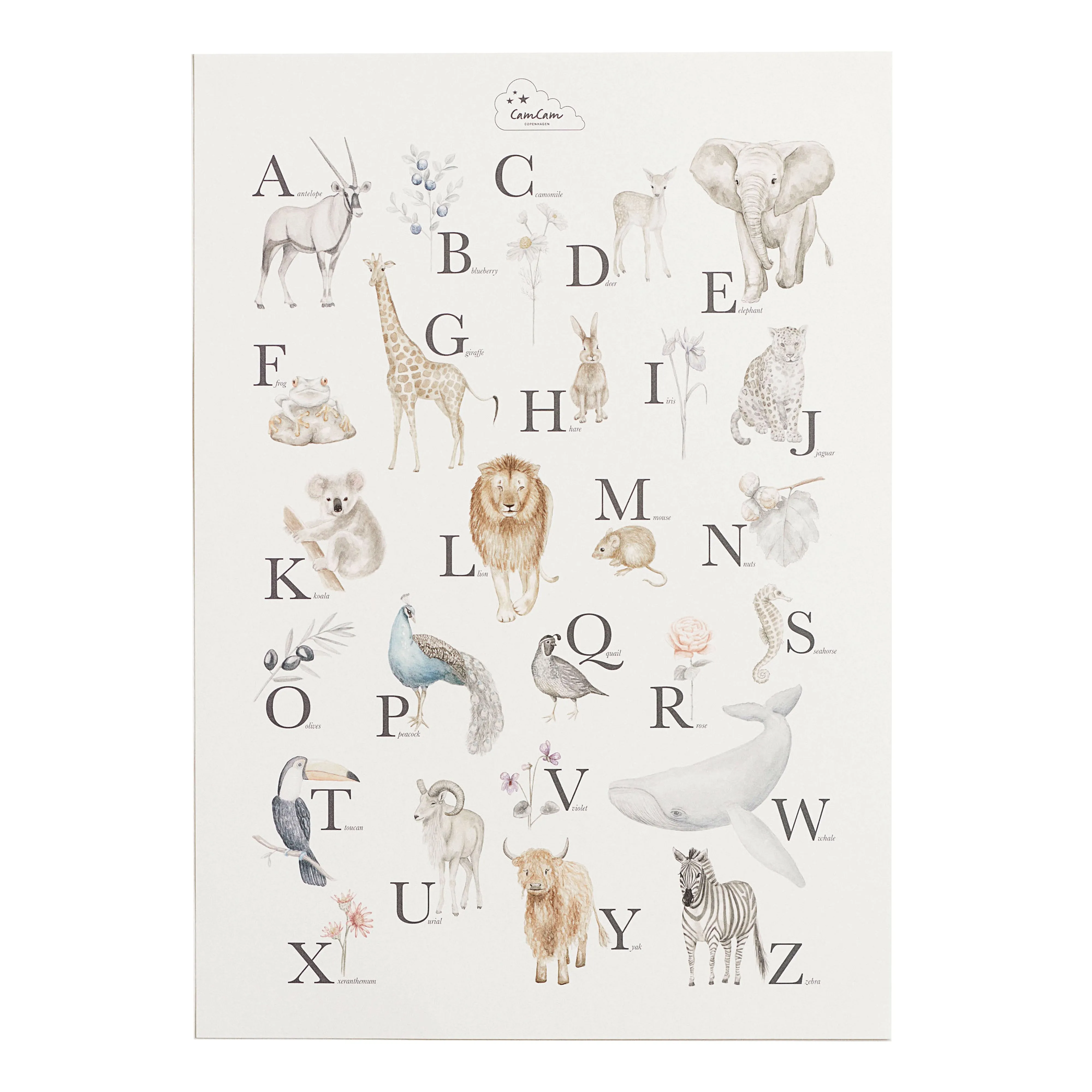 Cam Cam Copenhagen Alphabet Poster English