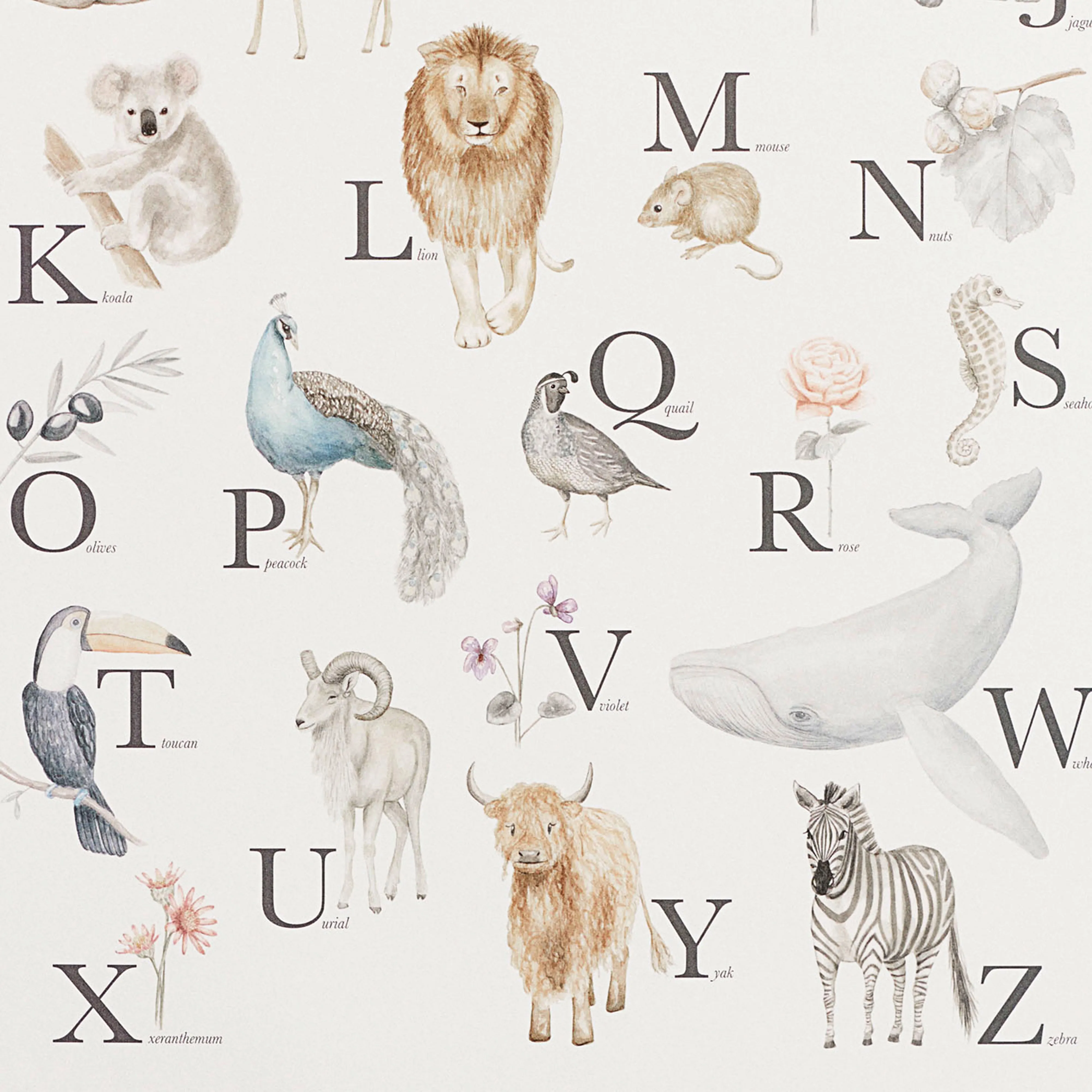 Cam Cam Copenhagen Alphabet Poster English