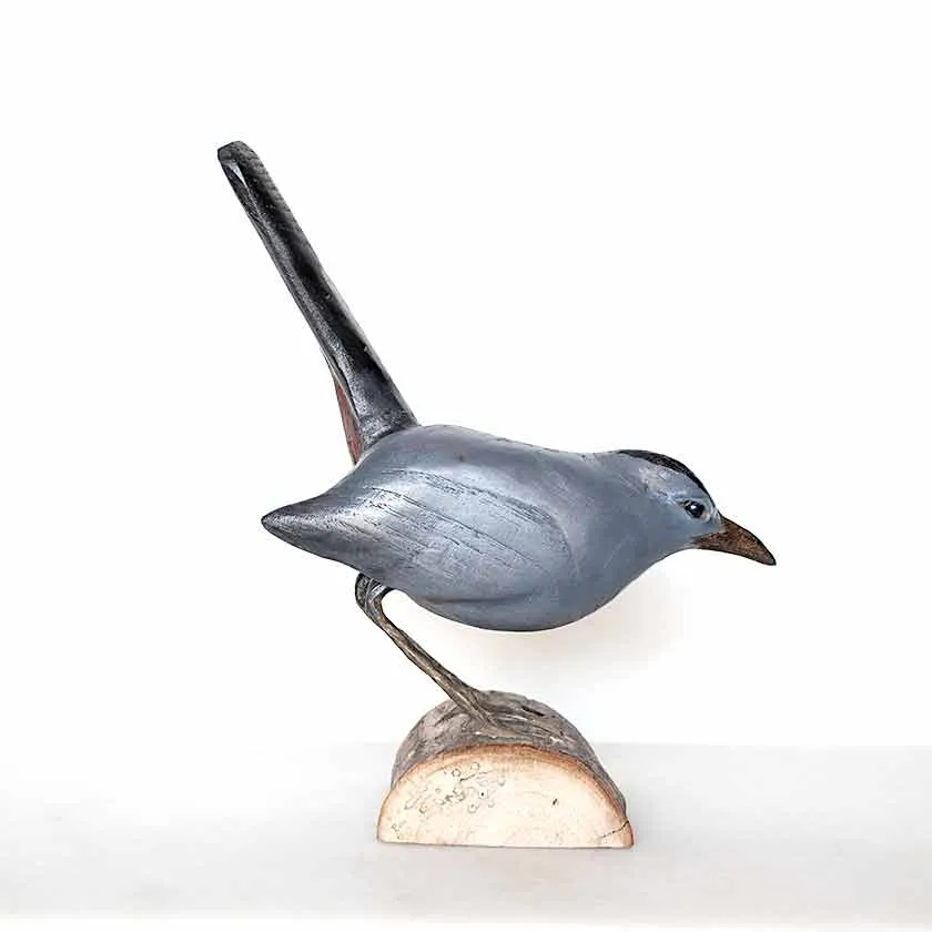 Catbird