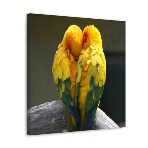 GADGETS WRAP Canvas Gallery Wrap Framed for Home Office Studio Living Room Decoration (10x10inch) - Two Parrot Birds Love