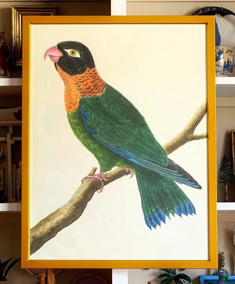 'Green Parrots’ -per piece