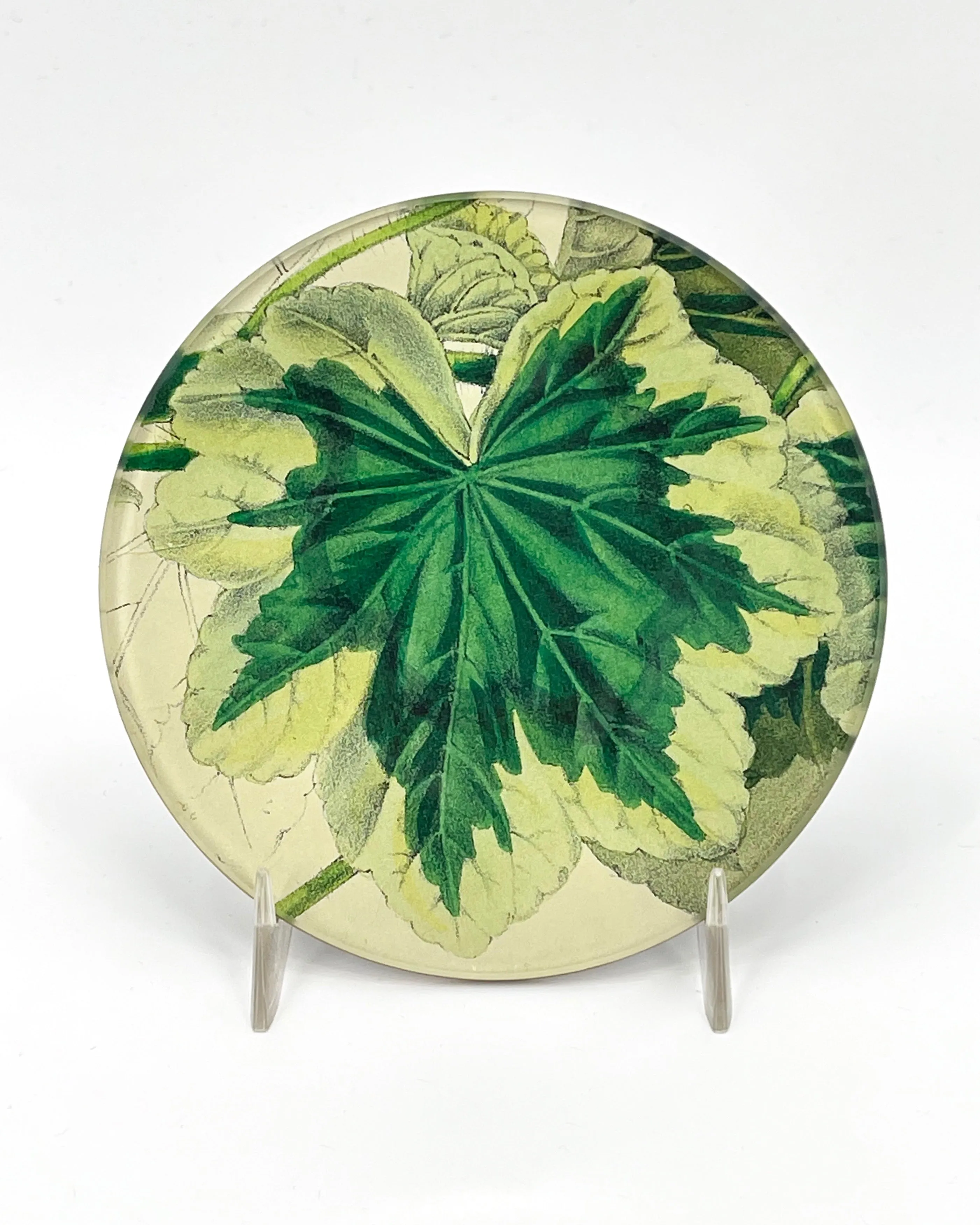 John Derian 4" Round Plates