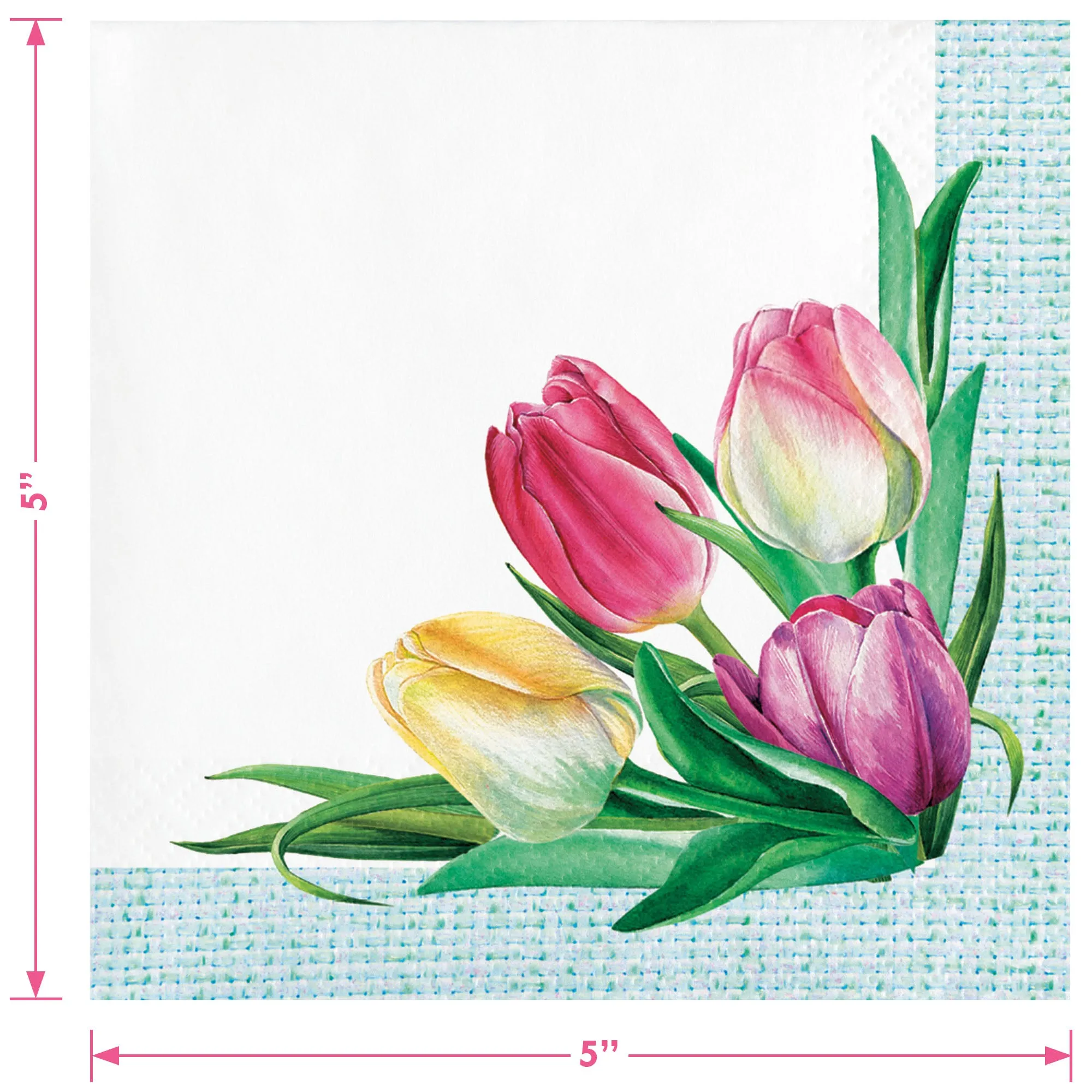 Pastel Tulip Party Supplies - Pretty Floral Paper Dessert Plates, Beverage Napkins, and Forks (Serves 16)