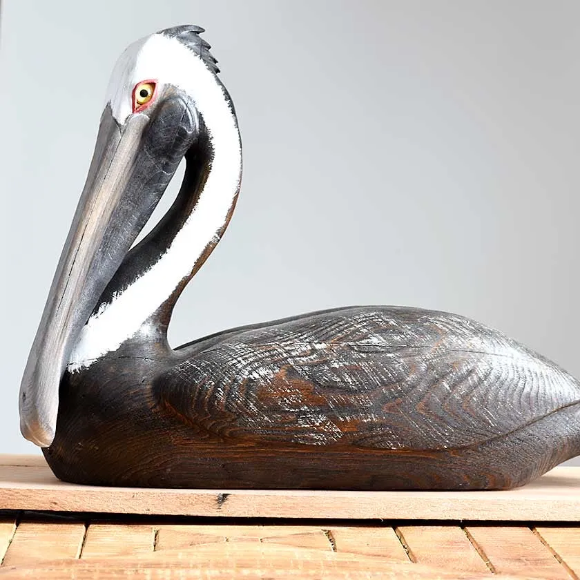 Pelican