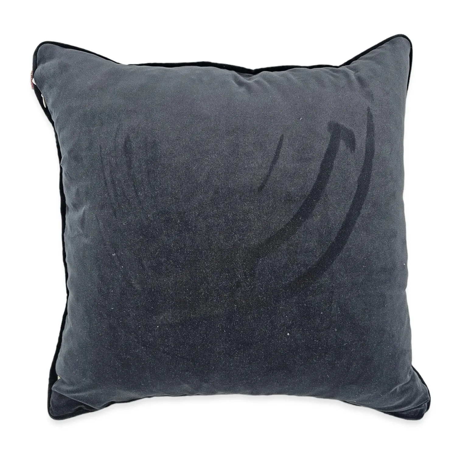 Set of 2 Cushions 50x50 PS27