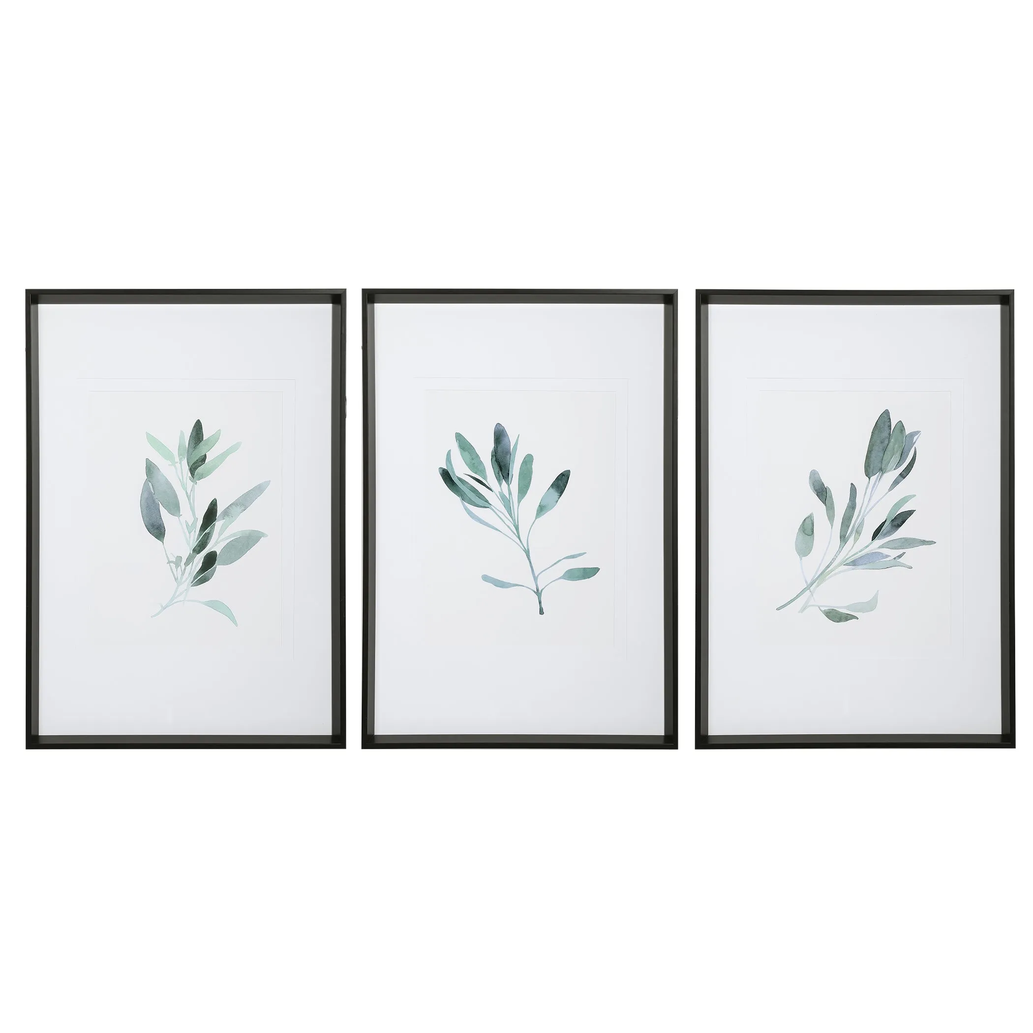 Simple Sage Watercolor Prints, S/3