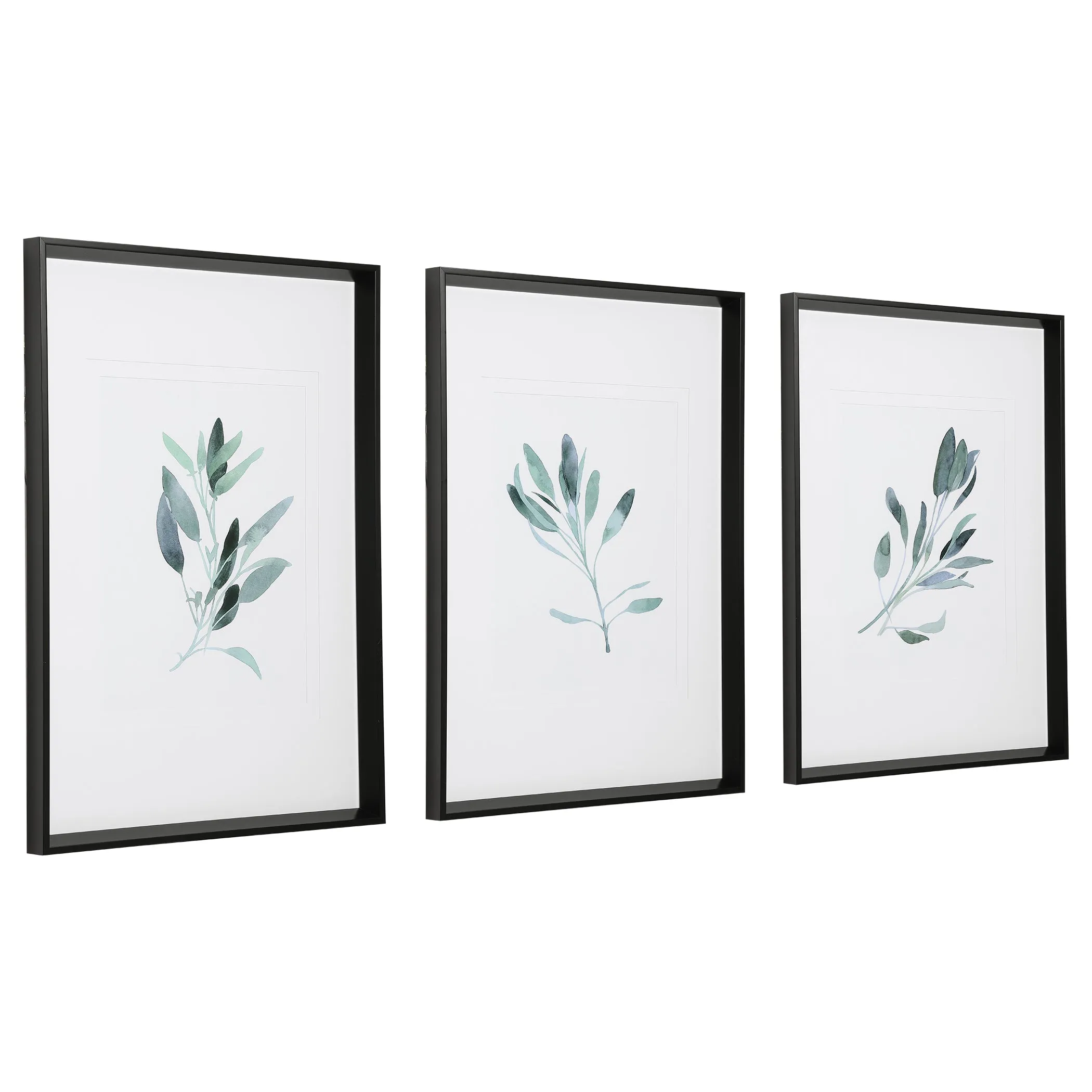 Simple Sage Watercolor Prints, S/3