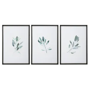 Simple Sage Watercolor Prints, S/3