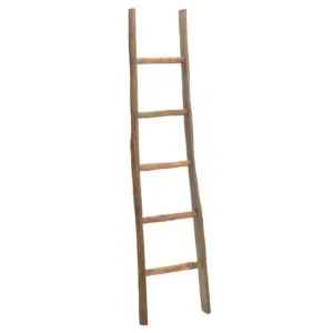 Willoughby Ladder